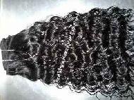 Coir Fiber