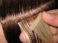Coir Fiber