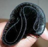 Coir Fiber