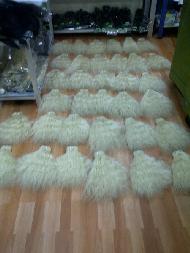 Coir Fiber