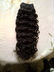 Coir Fiber
