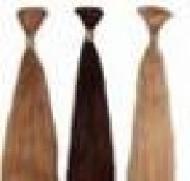 Coir Fiber