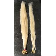 Coir Fiber