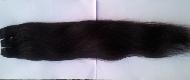 Coir Fiber