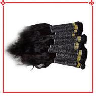 Coir Fiber
