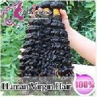 Coir Fiber