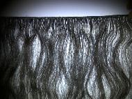 Coir Fiber