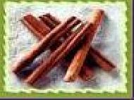 Coir Fiber