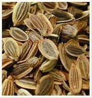 Coir Fiber