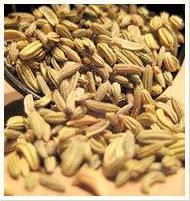 Coir Fiber