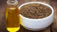 Coir Fiber