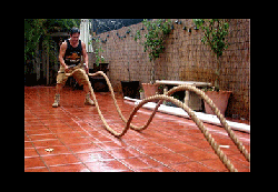 Coir Fiber