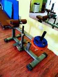 Coir Fiber