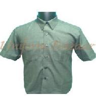 Coir Fiber