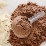 Protein Powder
