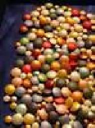Ascorbic Acid