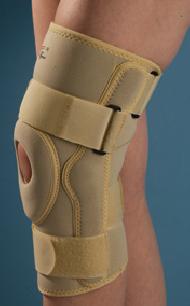 Hinged Knee Support