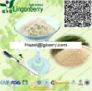 Rice Protein