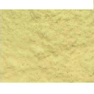 Colostrum Powder