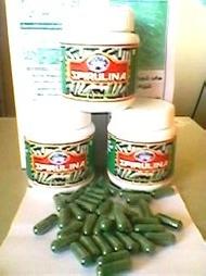Ayurvedic Food Supplements