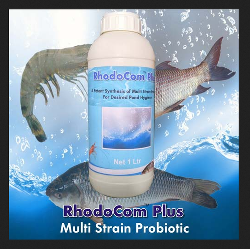 Multi-strain Probiotic
