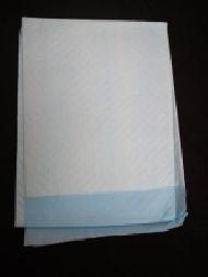 Disposable Underpad