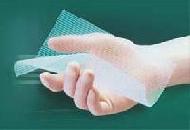 Surgical Mesh
