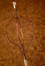 Extraction Stone Basket