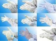Disposable Latex Glove