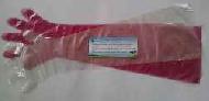 Veterinary Glove
