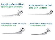 Hip Prosthesis