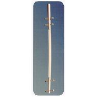 Femur Nail