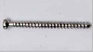 Cannulated Screws