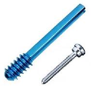 Dynamic Hip Screw