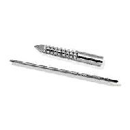 Schanz Screws