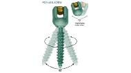 Polyaxial Screw