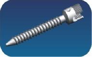 Sacral Screw