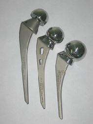 Bone Prosthesis