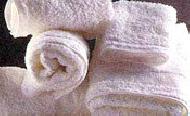Coir Fiber