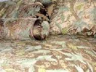 Coir Fiber