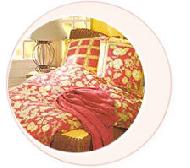 Coir Fiber