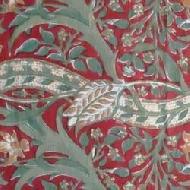 Coir Fiber