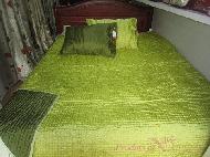 Coir Fiber