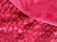 Coir Fiber