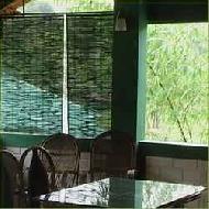 Bamboo Roll Up Blind