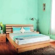 flexi coir mattress
