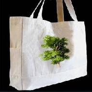 Coir Fiber