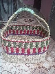 Coir Fiber
