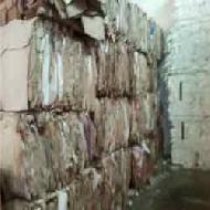 Coir Fiber