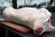 Coir Fiber